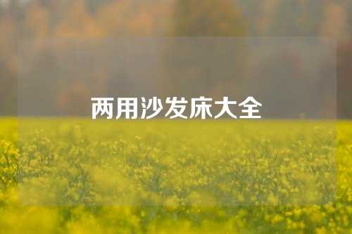 两用沙发床大全