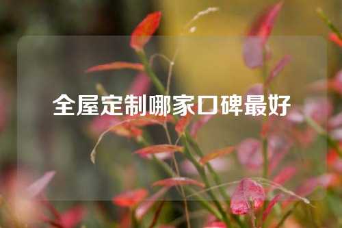 全屋定制哪家口碑最好