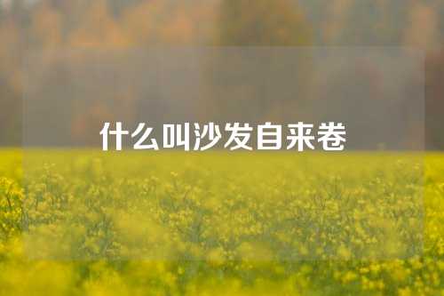什么叫沙发自来卷