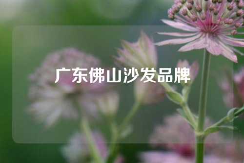 广东佛山沙发品牌
