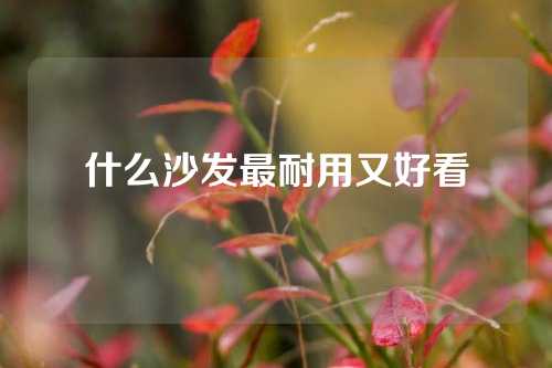 什么沙发最耐用又好看