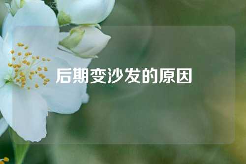 后期变沙发的原因
