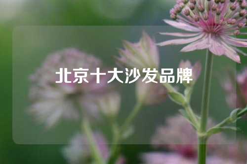 北京十大沙发品牌
