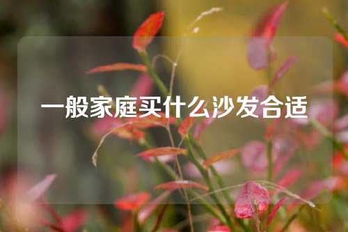 一般家庭买什么沙发合适