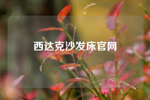 西达克沙发床官网