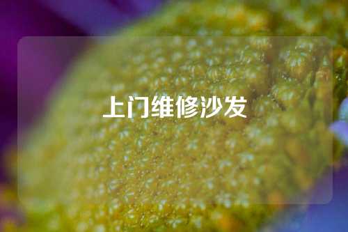 上门维修沙发