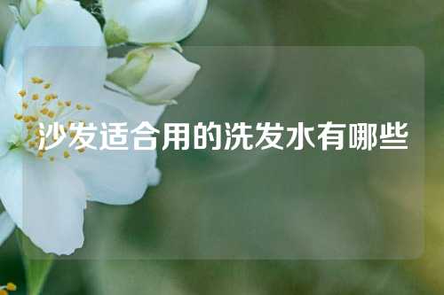 沙发适合用的洗发水有哪些