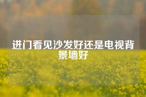 进门看见沙发好还是电视背景墙好