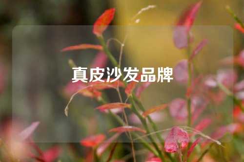 真皮沙发品牌