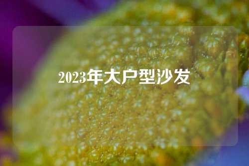 2023年大户型沙发