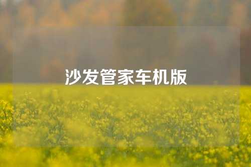 沙发管家车机版