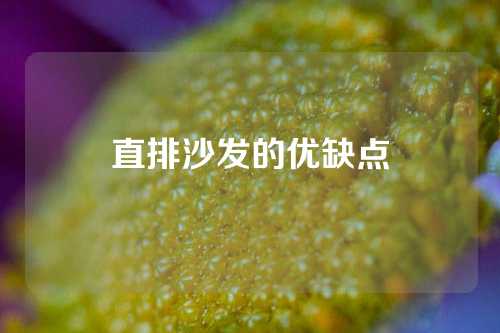 直排沙发的优缺点