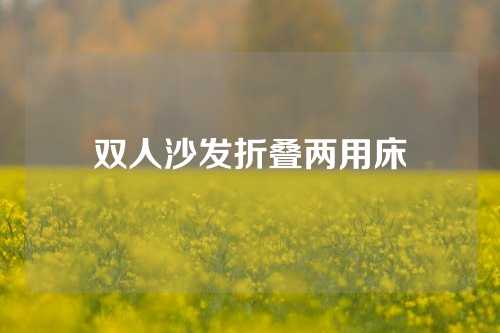 双人沙发折叠两用床