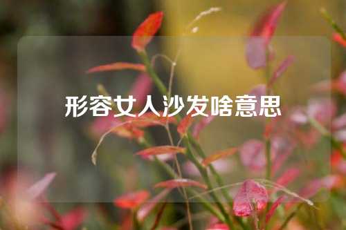 形容女人沙发啥意思