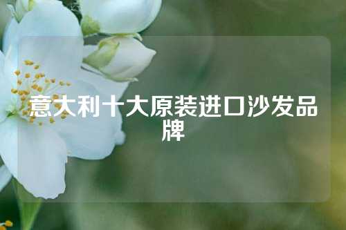 意大利十大原装进口沙发品牌