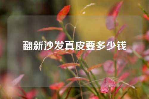 翻新沙发真皮要多少钱