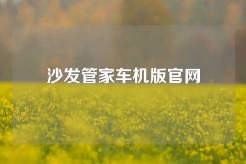 沙发管家车机版官网