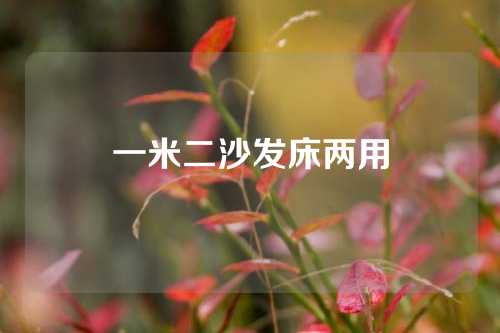 一米二沙发床两用