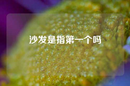 沙发是指第一个吗