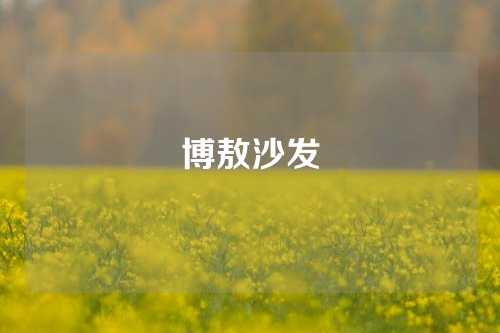 博敖沙发