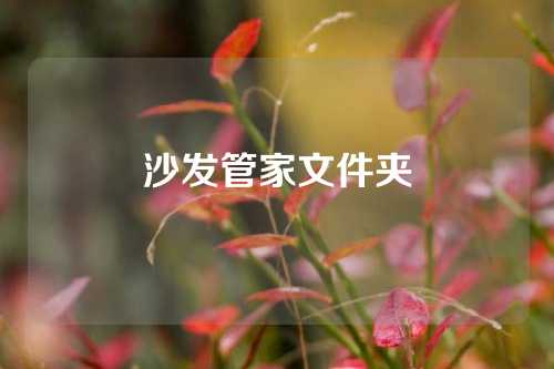 沙发管家文件夹