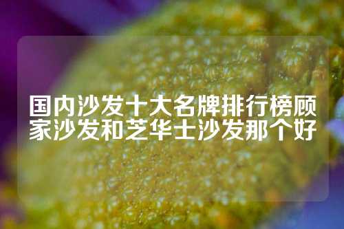 国内沙发十大名牌排行榜顾家沙发和芝华士沙发那个好