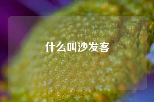 什么叫沙发客
