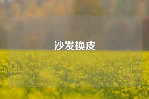 沙发换皮