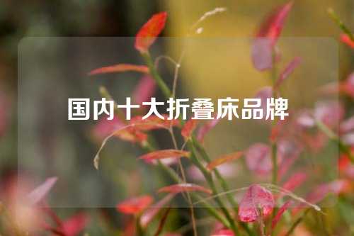 国内十大折叠床品牌