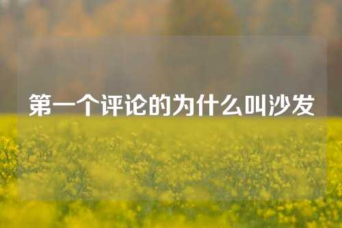 第一个评论的为什么叫沙发