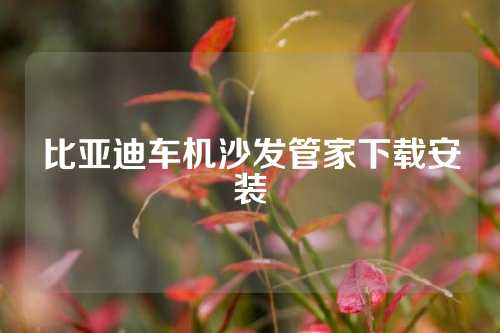 比亚迪车机沙发管家下载安装