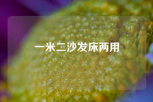 一米二沙发床两用