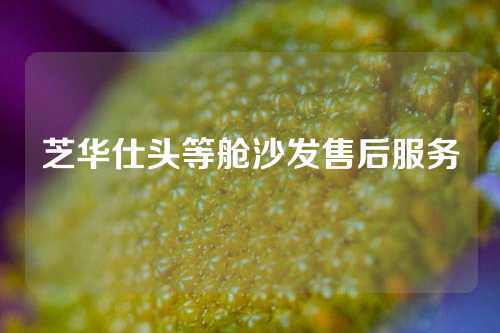 芝华仕头等舱沙发售后服务