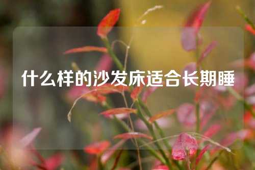 什么样的沙发床适合长期睡