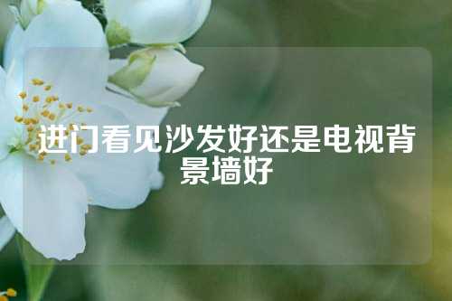 进门看见沙发好还是电视背景墙好
