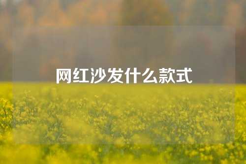网红沙发什么款式