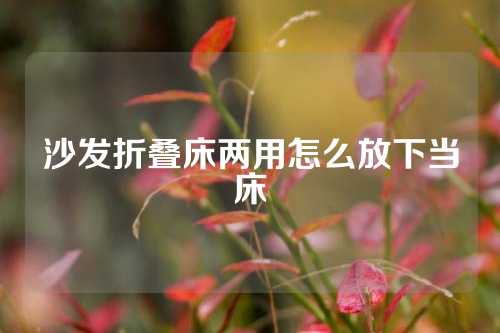 沙发折叠床两用怎么放下当床