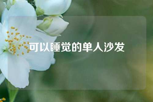 可以睡觉的单人沙发