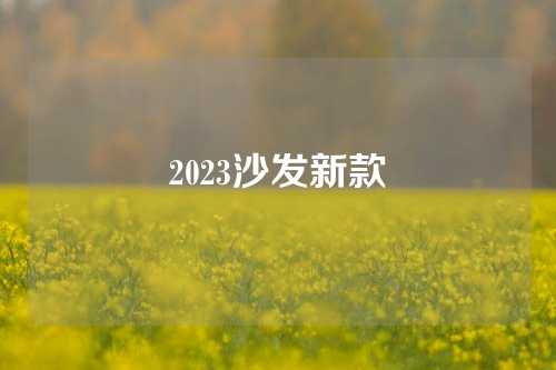 2023沙发新款