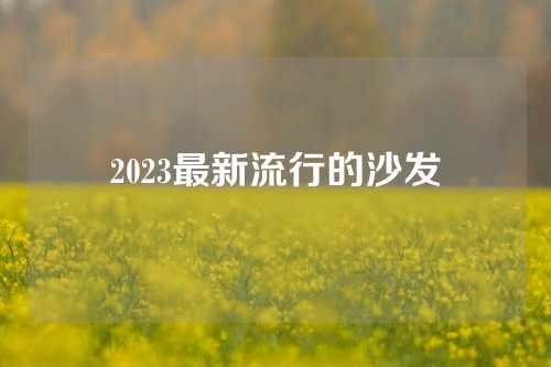 2023最新流行的沙发