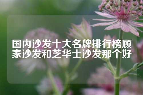 国内沙发十大名牌排行榜顾家沙发和芝华士沙发那个好