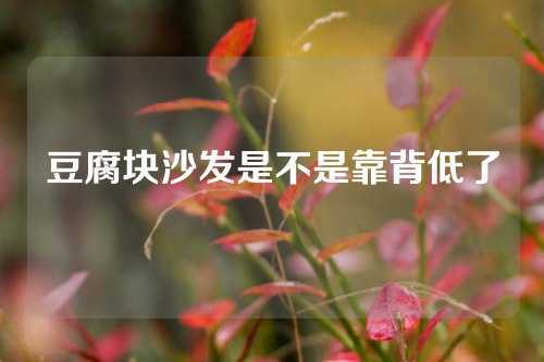 豆腐块沙发是不是靠背低了