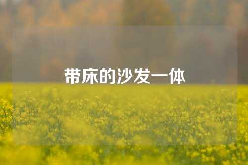 带床的沙发一体