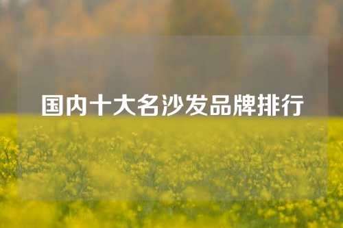 国内十大名沙发品牌排行