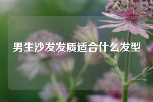 男生沙发发质适合什么发型
