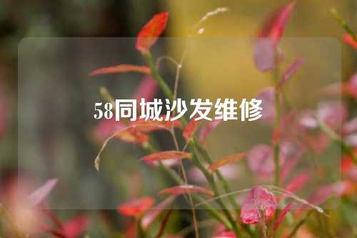 58同城沙发维修