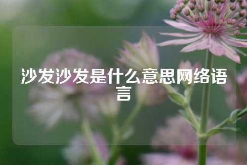 沙发沙发是什么意思网络语言