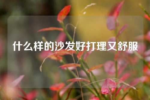 什么样的沙发好打理又舒服