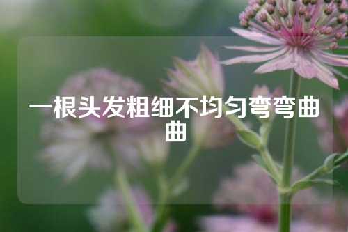 一根头发粗细不均匀弯弯曲曲