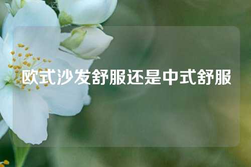 欧式沙发舒服还是中式舒服